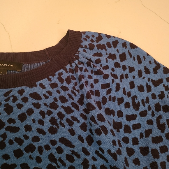 Ann Taylor - Animal Print Sweater - Picture 7 of 9